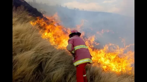 Especialista Incêndio Pinhais